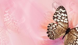 Brown white butterfly and the face of a beauty on a pale pink background