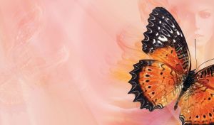 Orange black butterfly and the face of a beauty on a pastel orange pink background