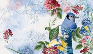 Aquarelle Aviary | Birds & Flowers in Provence-Style Watercolor