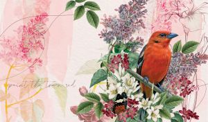 Watercolor of a scarlet tanager surrounded by elegant flowers on pastel pink