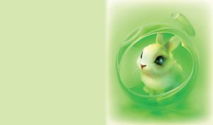 Cute little bunny in pod house on a lite green background