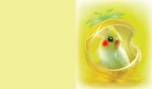 Cute little parrot in a pod house on a lite yellow background