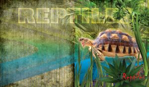 Brown reptile turtle in a jungle on a green background