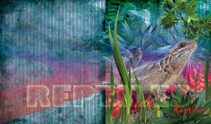 Brown reptile lizard in a jungle on a blue background