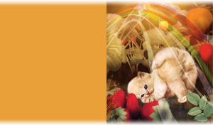 Cute rainbow kitten playing with some strawberries