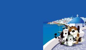 Paws and Flippers | Adventures of Animated Animals on Vacation