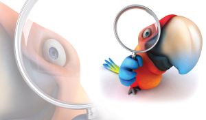 A smiling cartoon parrot with a magnifying glass on a white background