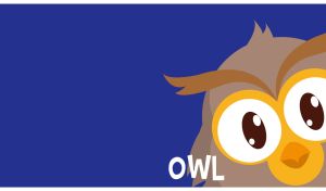 Animated happy brown owl with big eyes on a dark blue background