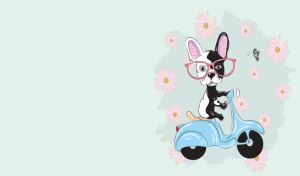 A funny dog with red glasses rides a sky blue scooter on a pastel green backdrop