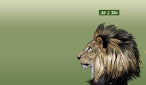 Cute and Wild | Striking Animal Portraits | On soft gradient