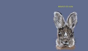 Detailed hare sketch on a grey-blue sketchbook cover
