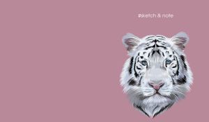 Detailed white tiger sketch on a dark pastel pink sketchbook cover
