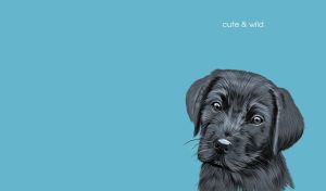 Hand-drawn illustration of a black Labrador's face on a sky blue backdrop