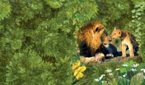 Male lion with lion cub standing next to him touching nose on green grass