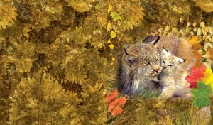 Lynx with cub portrait at autumn field with different coloured leaves