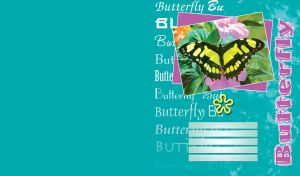 Framed black yellow butterfly on flower in composition with inscriptions on teal