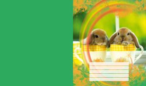 Bunnies and Squirrel with rainbow brush pattern