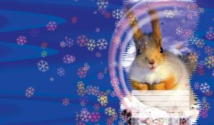A winter squirrel with ears up, on blue with purple rainbow and snowflakes