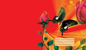 Closeup of a butterfly pollinating red roses with yellow pollen on red