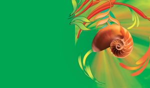 Closeup of a nautilus shell and colorful illustrated leaves on green