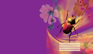 Closeup of a red brown beetle with yellow pollen and flower silhouettes on purple
