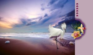 A white snowy egret walks along the seashore in a blue shade of the twilight sky