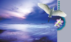 An egret flies above the ocean in the sunset blue sky