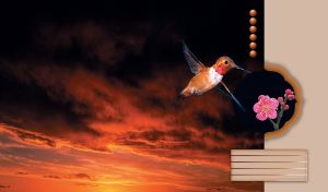 An orange hummingbird flies beneath the dark clouds in the orange sky of a sunset