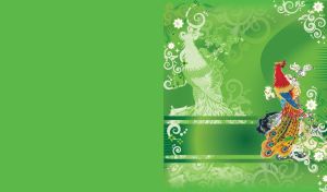 Peacock in a traditional Chinese style on a green background of its own silhouette