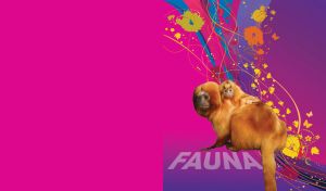 Golden lion tamarin and its baby on a pink background with abstract vector lines