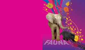Elephant and black panther stand on a pink background with abstract vector lines