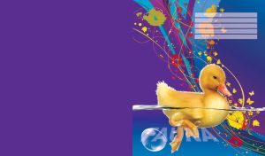 Yellow duckling swims upon an ultramarine background with abstract vector lines