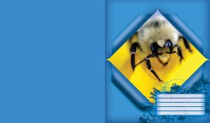 Close-up of a spider with a heart-shaped gem in a blue rhombus frame