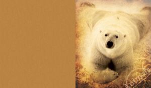 Wild Gaze | Creatures on Textured Backdrops