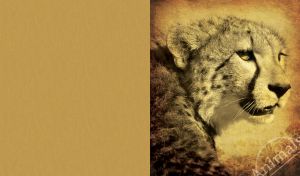 Textured patterned wallpaper with an olive eyed lynx on a yellow ochre background