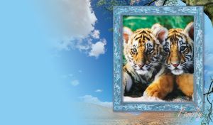 Family | Animal Frame_ Portraits Amidst Scenic Backdrops