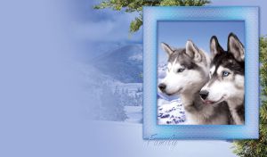 Husky family in a frame with mountains on a blue background with a green tree