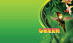 Flying colibri and yellow red flowers on a green background