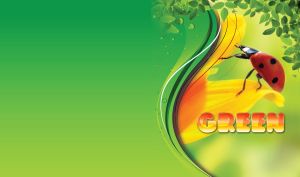 Red ladybug on a yellow flower with leaves on a light green background