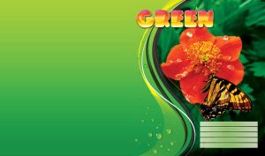 Tiger-swallowtail butterfly on a poppy with water drops, on a green blurred background