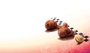 Whimsical Critters | Playful Poses in Colorful Settings | Pastel Gradient