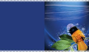 Asian paradise flycatcher on a branch upon a blue gradient with watercolor blots