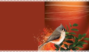 Tufted titmouse on a branch upon a maroon gradient of grey lines and red blots