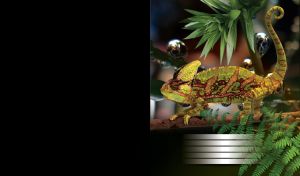 Olive Yemen chameleon crawls on a twig of tropic plant