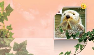 My Dear Little Friends | Photo cards of Animals against Pastel Skyline Background