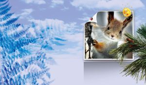 Picture of a smiling squirrel on a pastel blue wall with a spruce branch