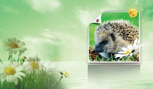 Picture of a hedgehog in the green grass on a pastel green wall with chamomile
