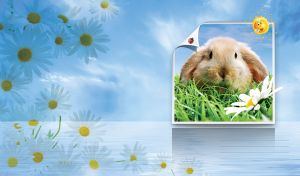 Picture of a rabbit in the green grass on a pastel blue wall with chamomile