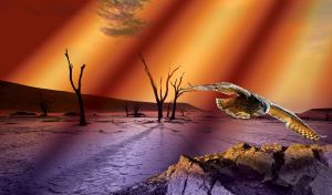 Flying Predators | Against Dramatic Artistic Landscapes