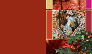 Pair of grey fox squirrels watches from hollow of a tree framed by a film strip